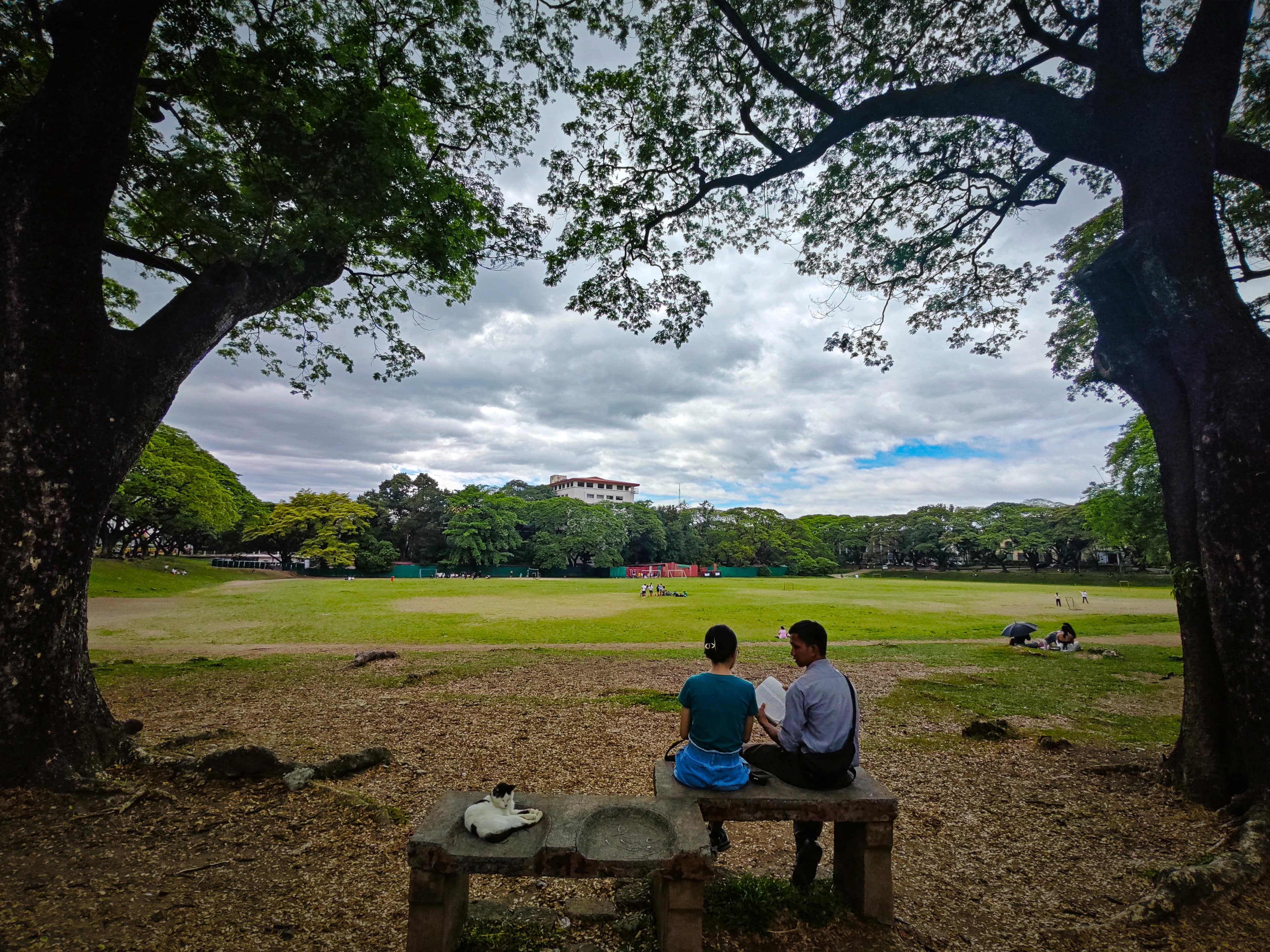 Photo of UP Sunken Garden
