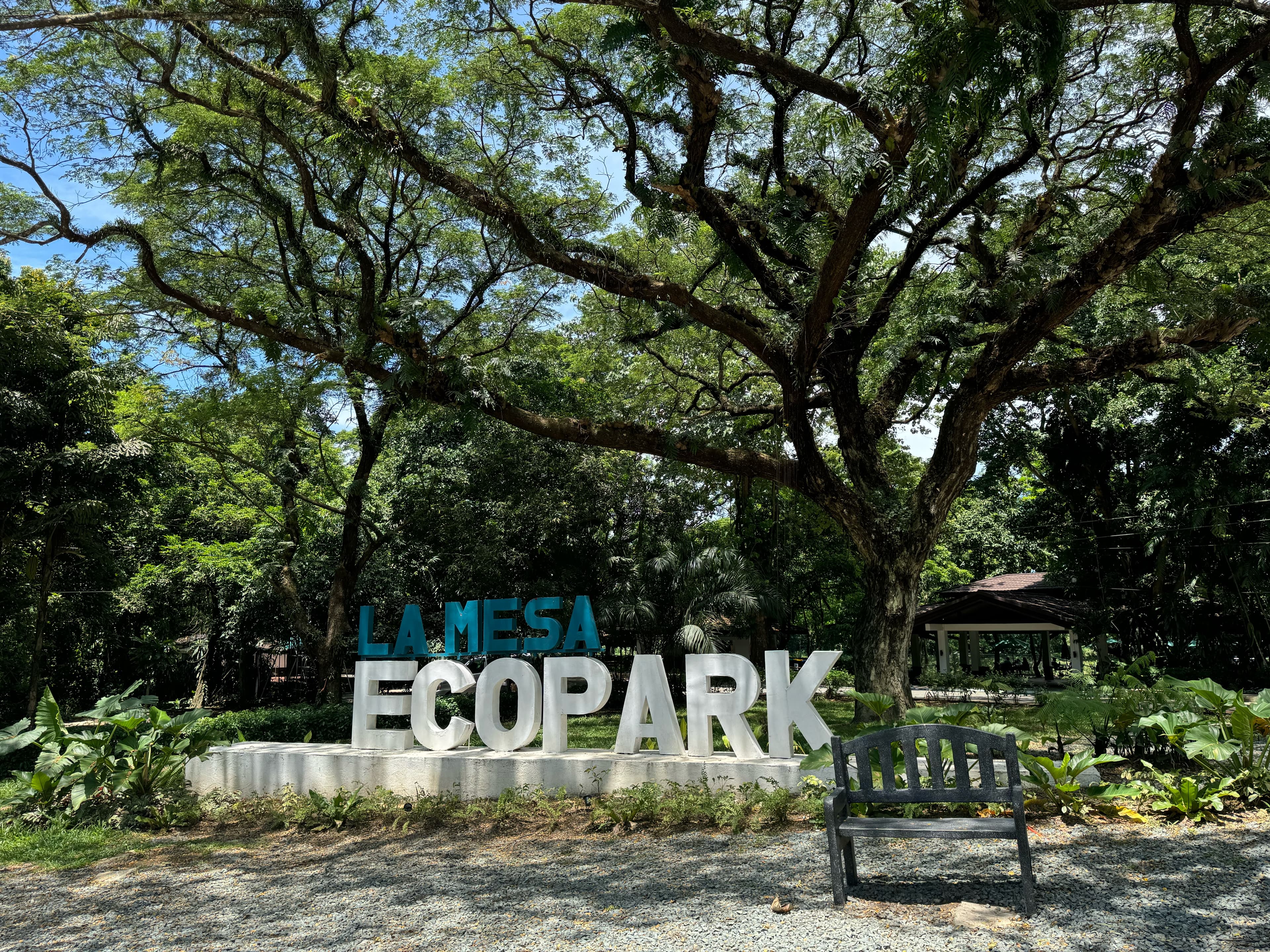 La Mesa Ecopark - Scenic nature view in Quezon City