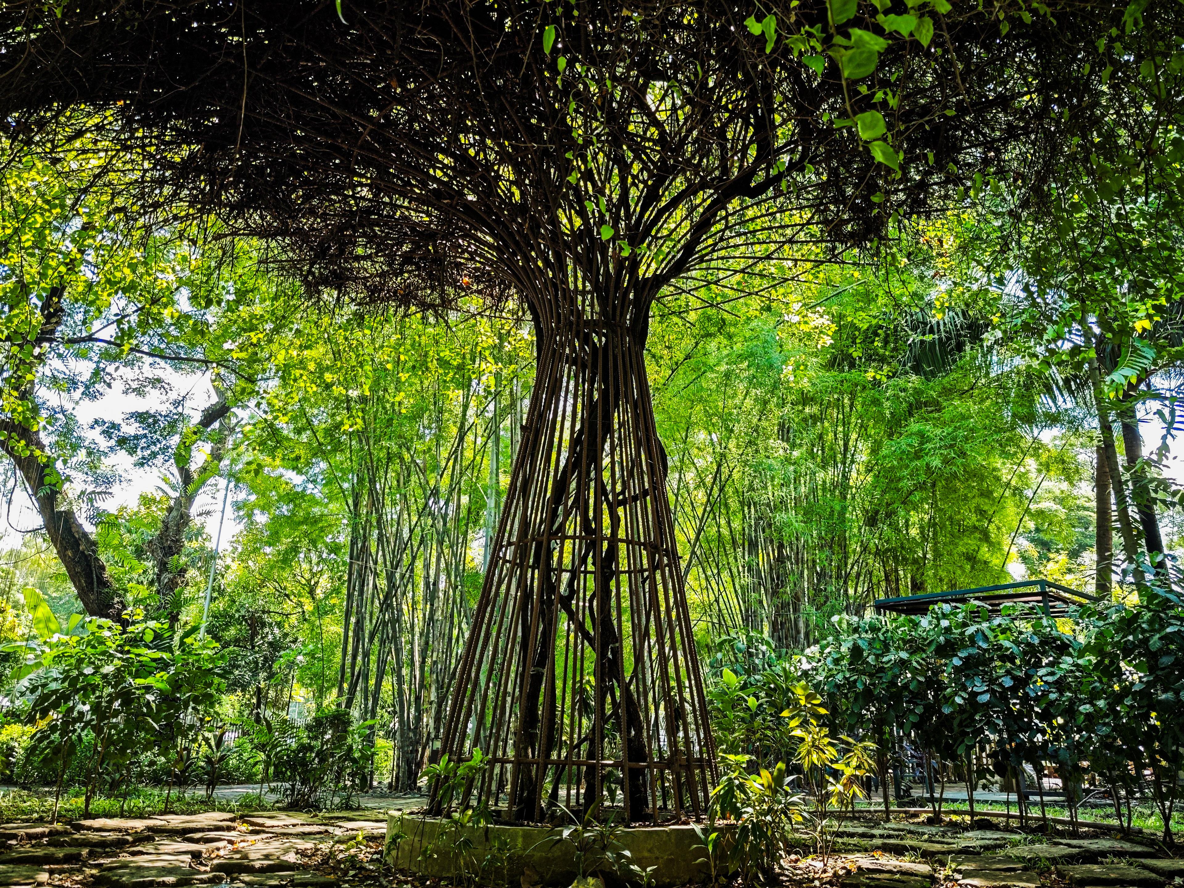 Joy of Urban Farming